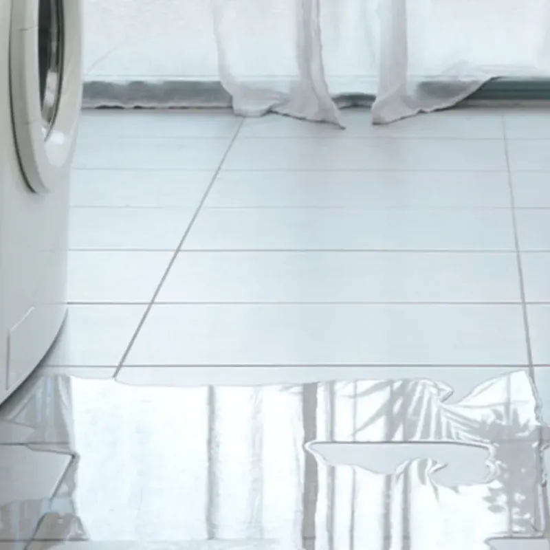 Appliance Leak Cleanup in Springfield, KY