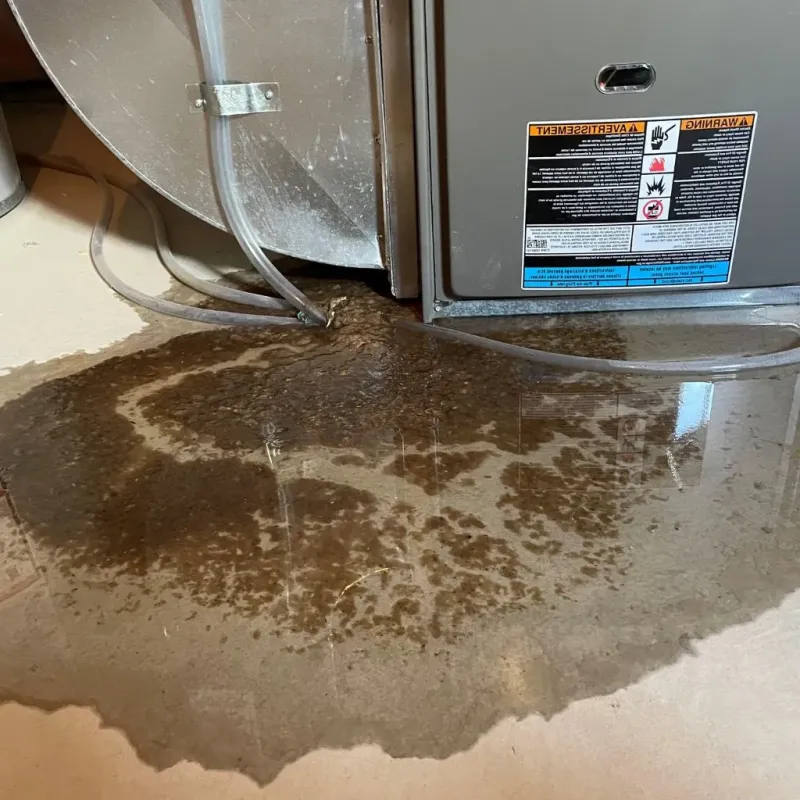 Pipe Burst and Leak Restoration in Springfield, KY