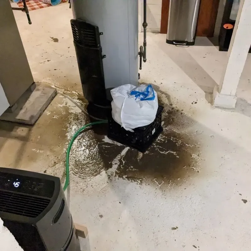 Sewage Backup Cleanup Service in Springfield, KY